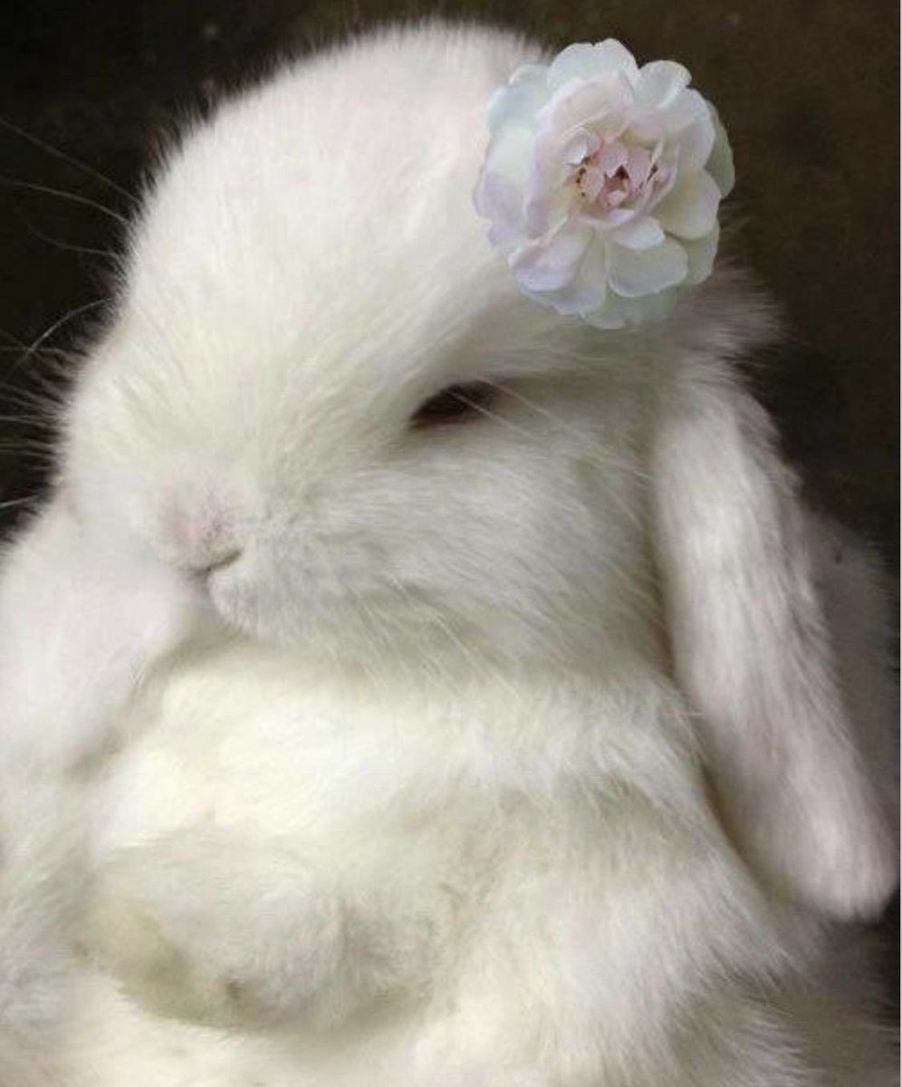 𝒸𝒾𝓃𝓃 tweet media