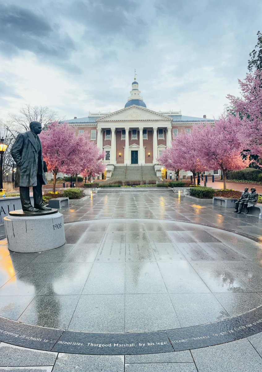 JustinWeather's tweet image. Annapolis is Blooming!
🌸 Maryland State Capital was glowing on this dreary morning with trees popping their flowers. 
📷 Thank you Sue Steinbrook for showing off the view. 
#SpringFlowers 
#bloom
#maryland
#mdwx