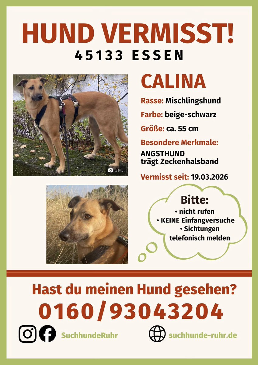 BabsiNRW🐕🐕🐦🐦 tweet media