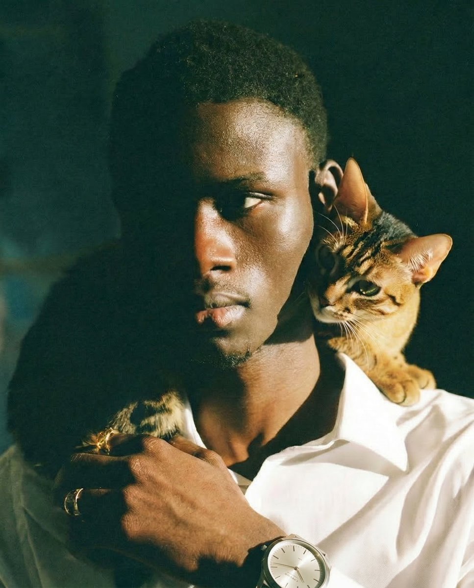 Anastasia Levchenko tweet media