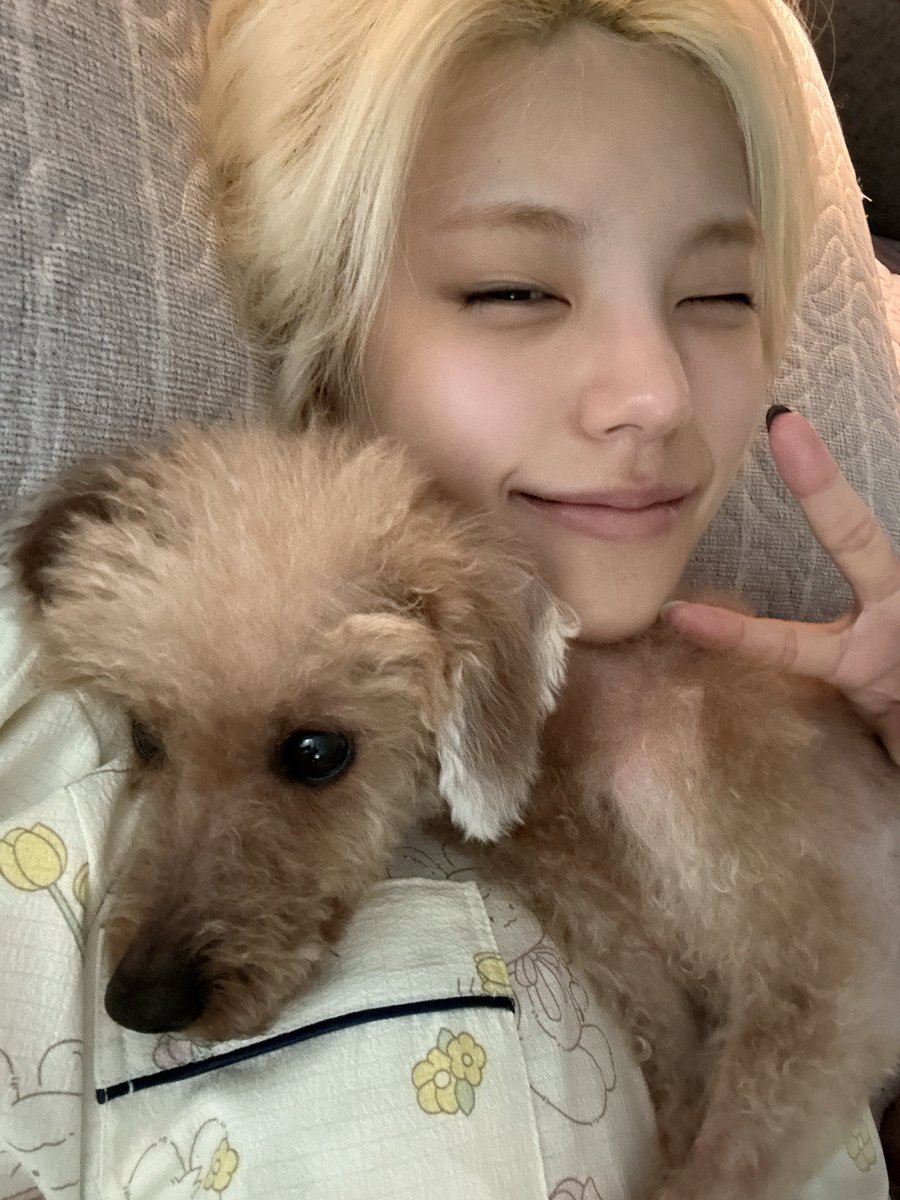 나 첫번째사진 엄청 좋아하는데 ㅜ 홍삼이로 보는 성장의 맛 tv
예지가 누워있으면 와서 안기는거 아직도 아가견이야🥹🥹🥹