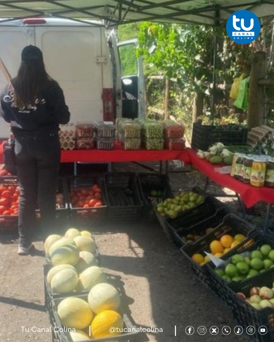 Tu Canal Colina tweet media