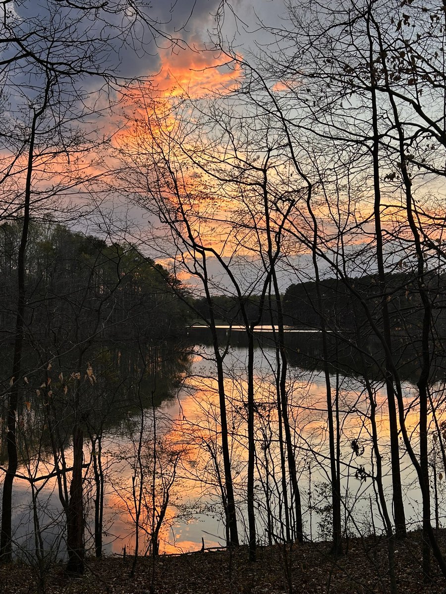 Maiv Lig Lauj tweet media