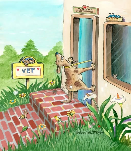 Εφη Σαλαχα tweet media