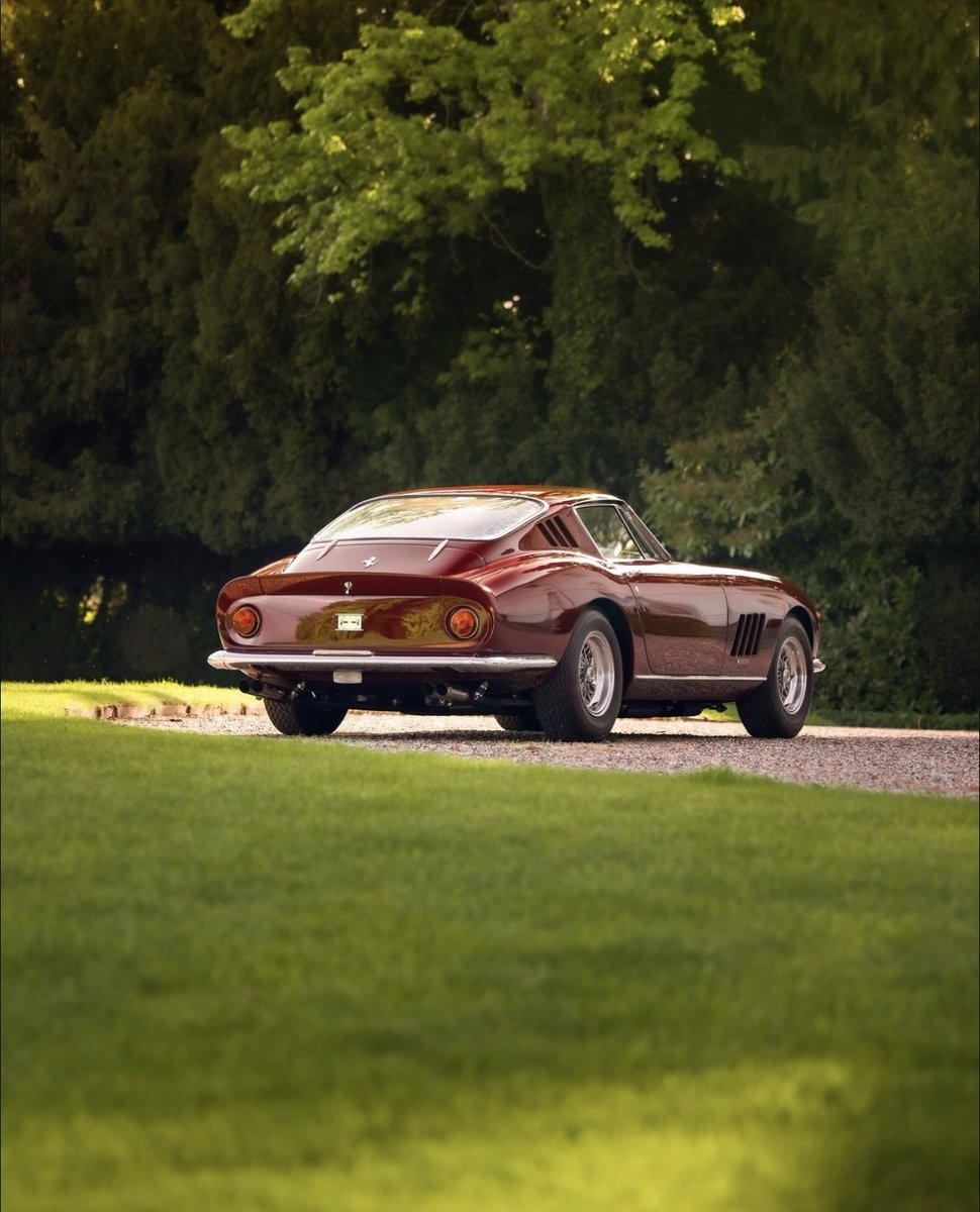 ๐ต๐๐๐๐๐๐ ๐ฟ๐๐๐ tweet media