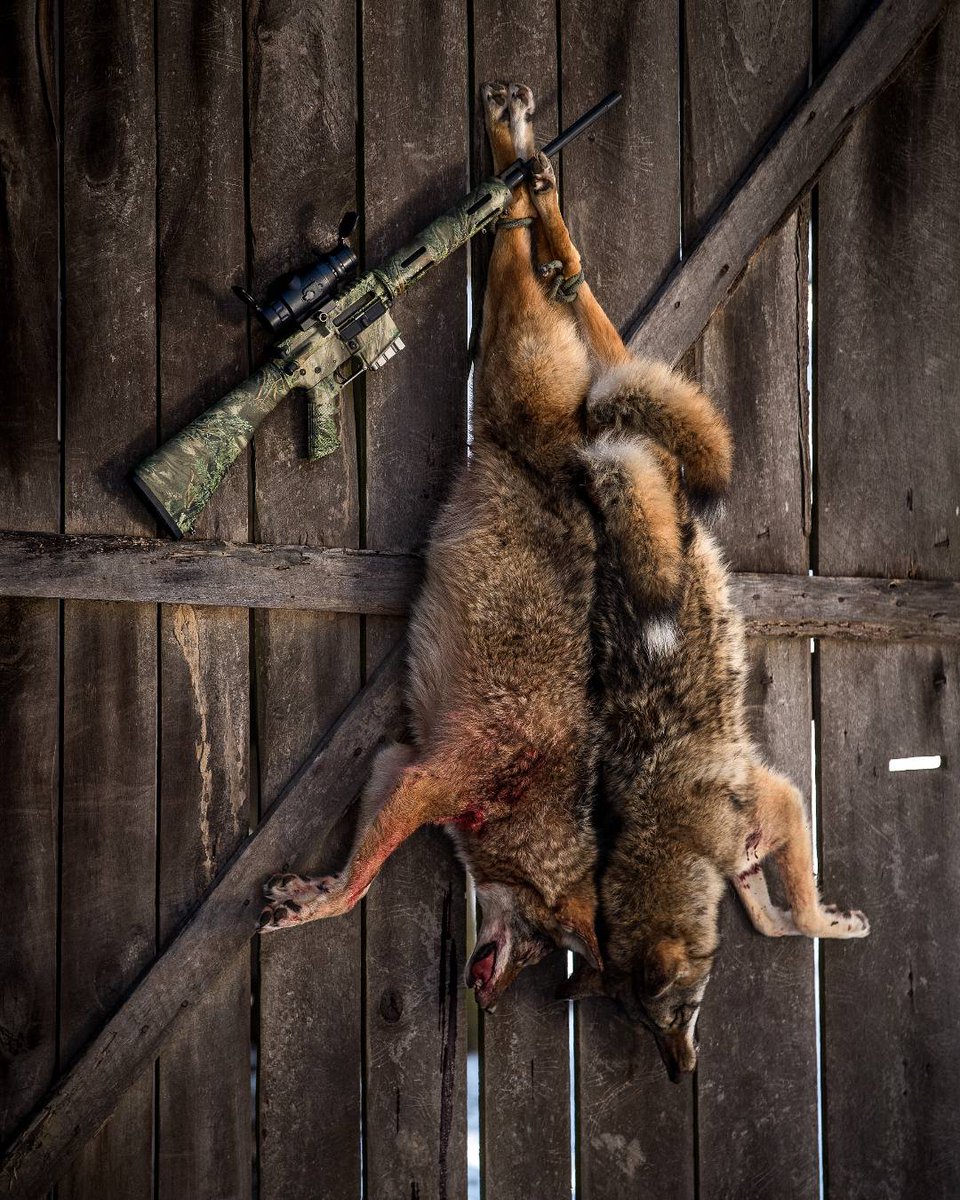 Sightmark tweet media