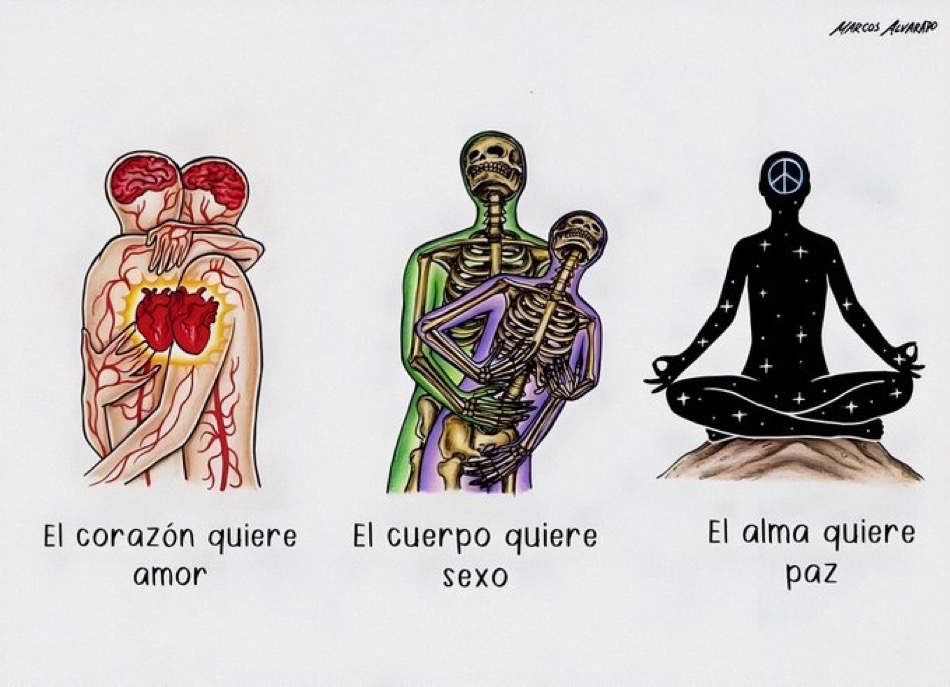 santo pecado tweet media