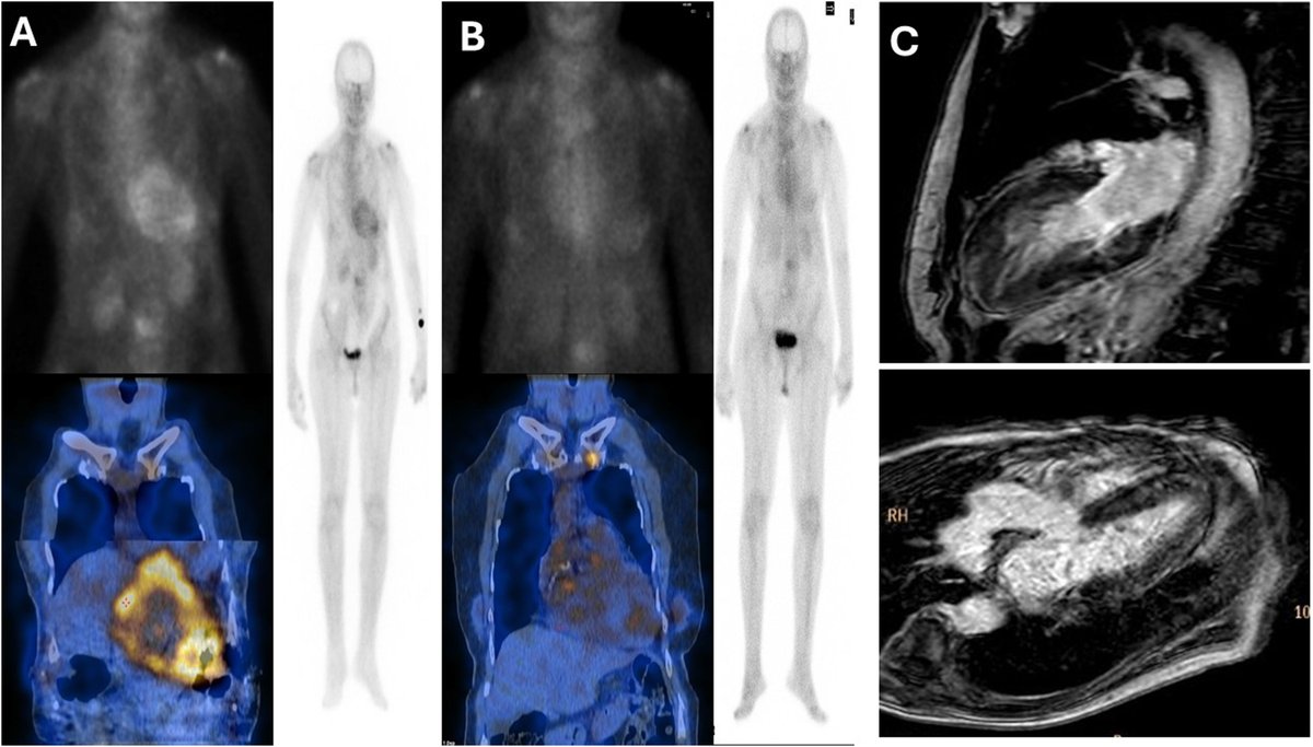 REC Publications tweet media