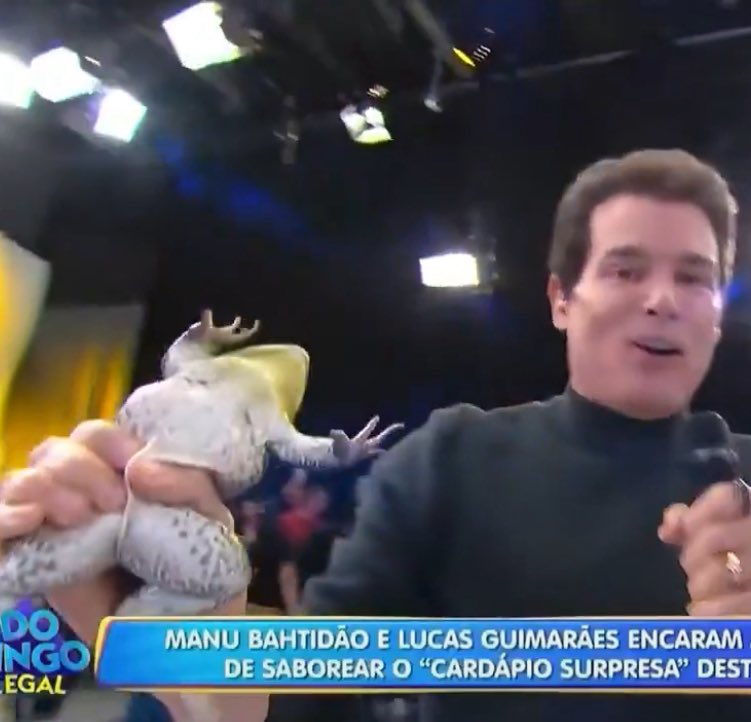 kaarolzx tweet media