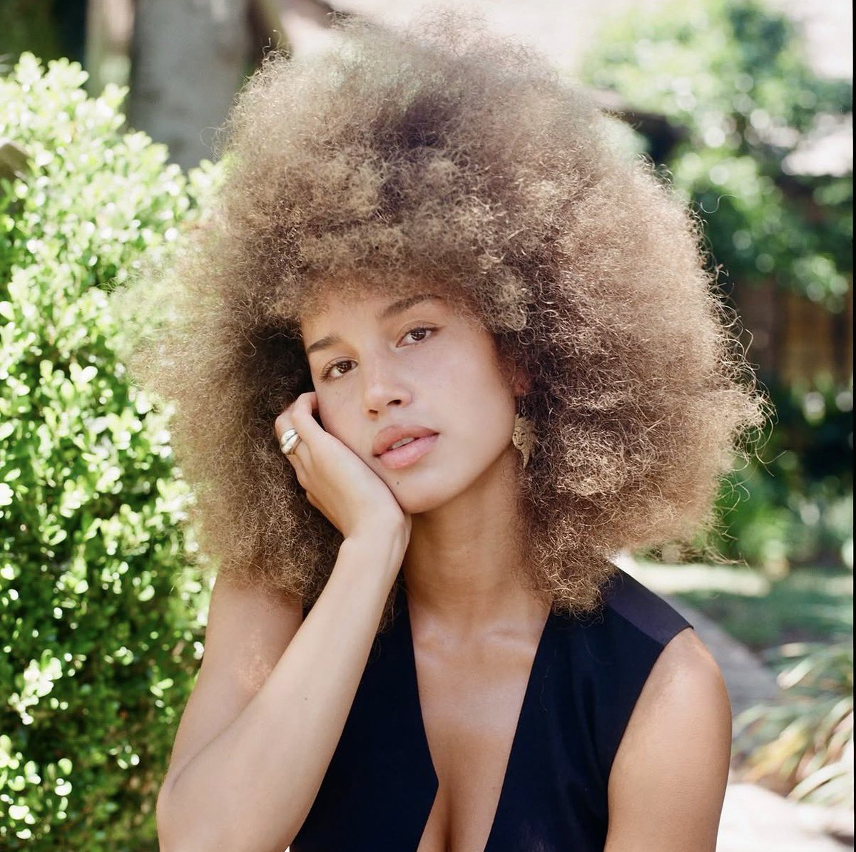 Film Updates tweet media