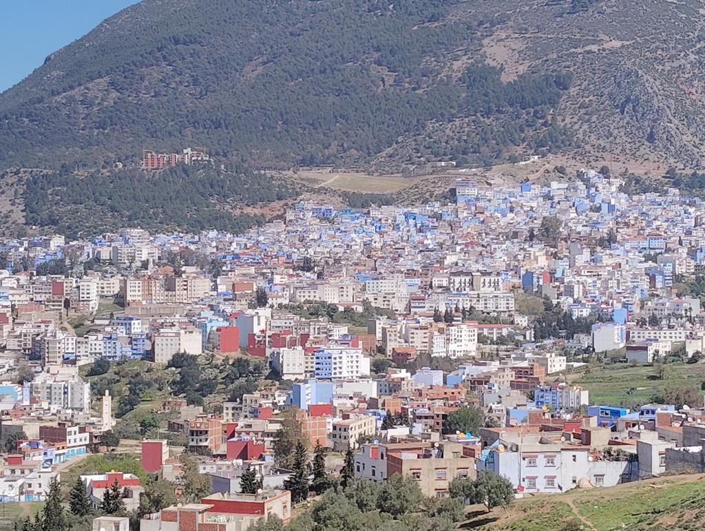 🚲🍆@🇲🇦 tweet media