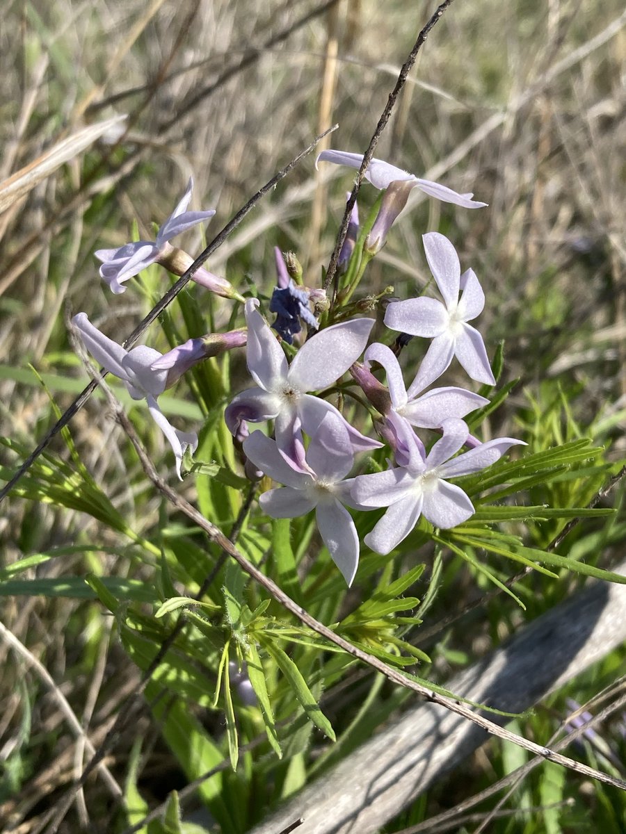 OldFoundWeatherNerd tweet media