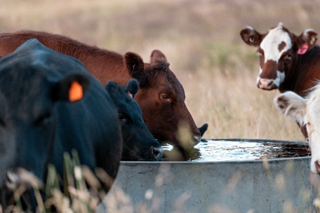 Rural Development tweet media