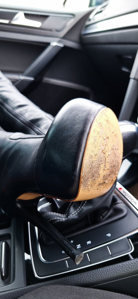 Leather Vikki tweet media