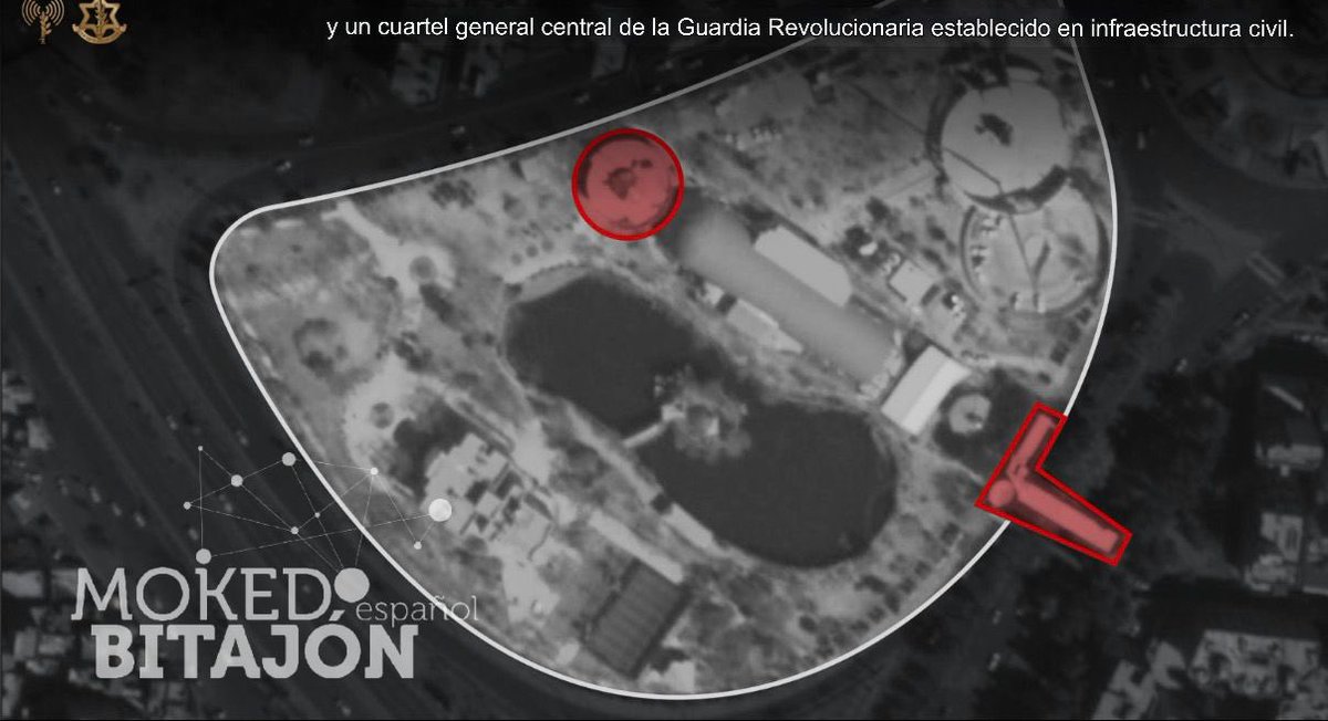 Desiree Rugani tweet media