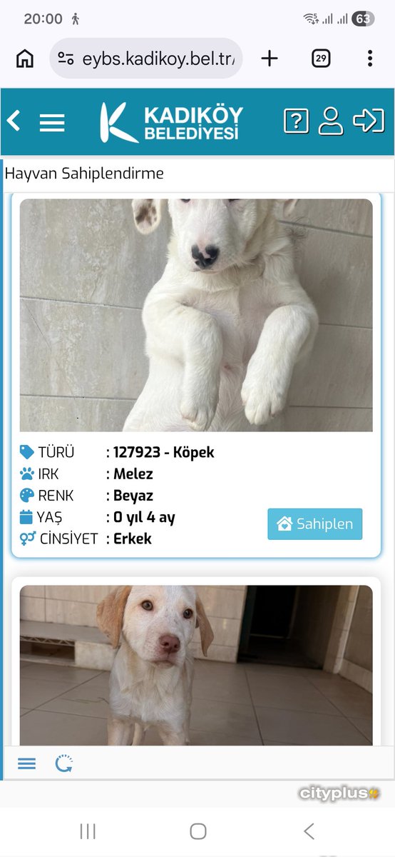 Semra Çelebi (filhakika) istanbulsözleşmesiyaşatır tweet media