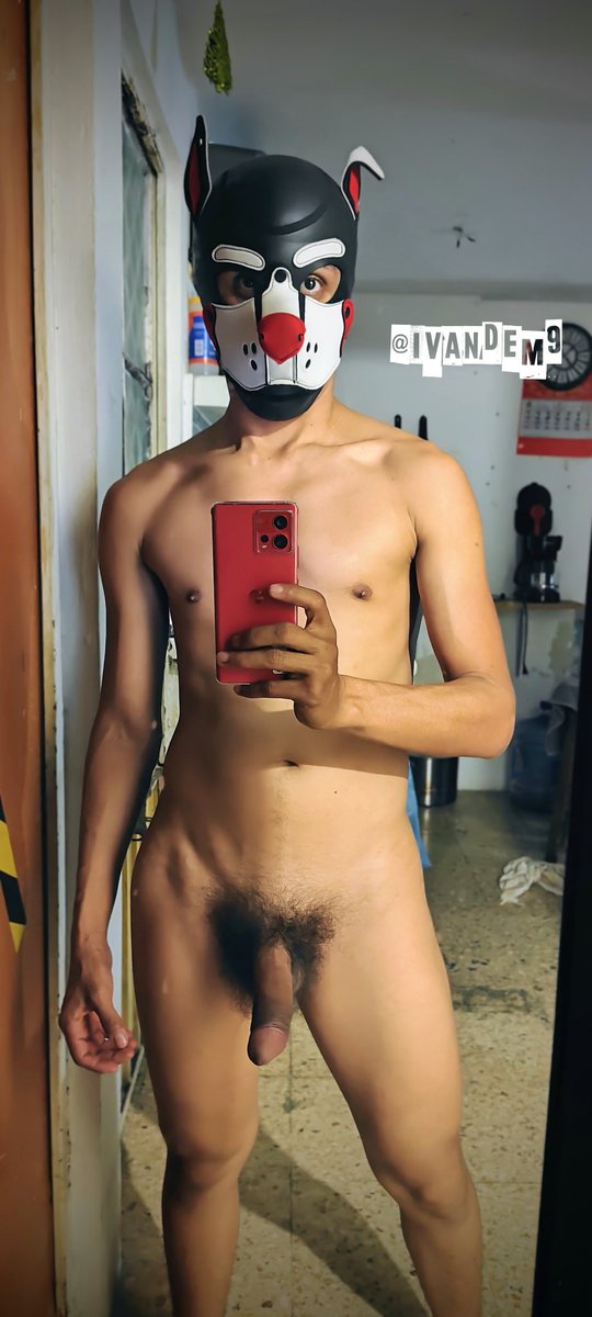 Pup Clovę 🐾 tweet media