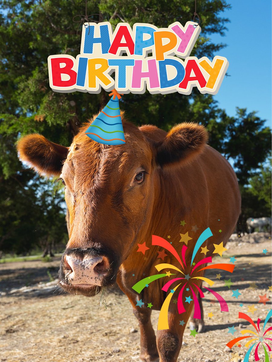 Alveus Sanctuary tweet media