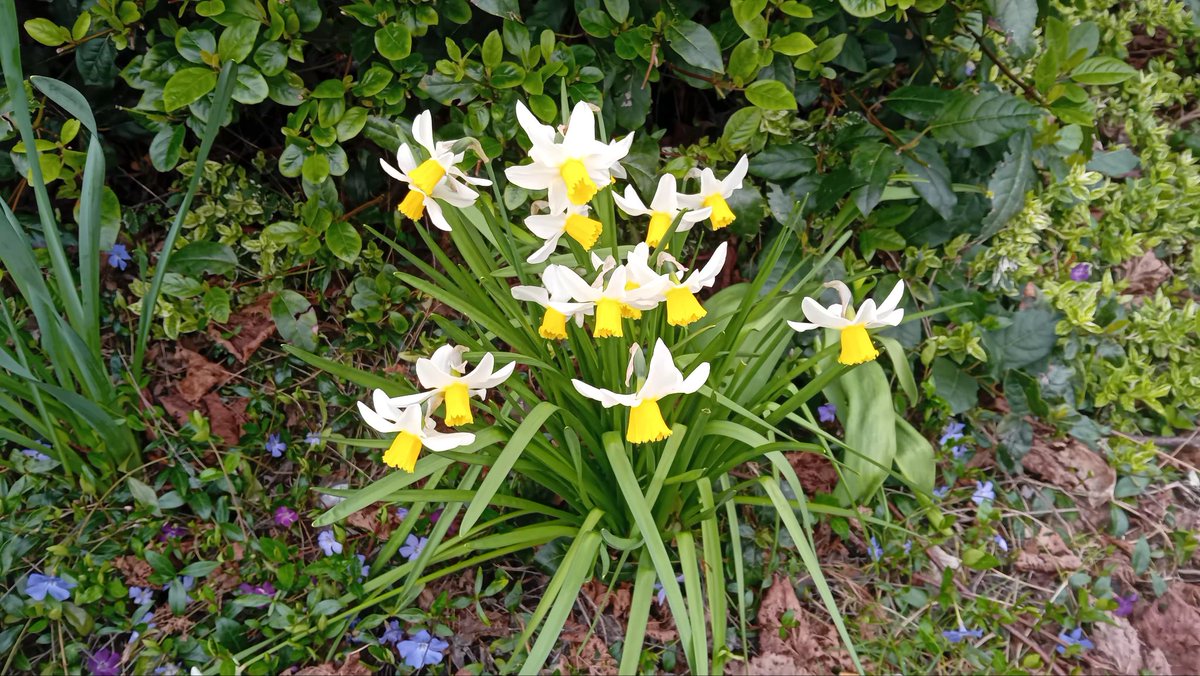 Witness2Hope tweet media