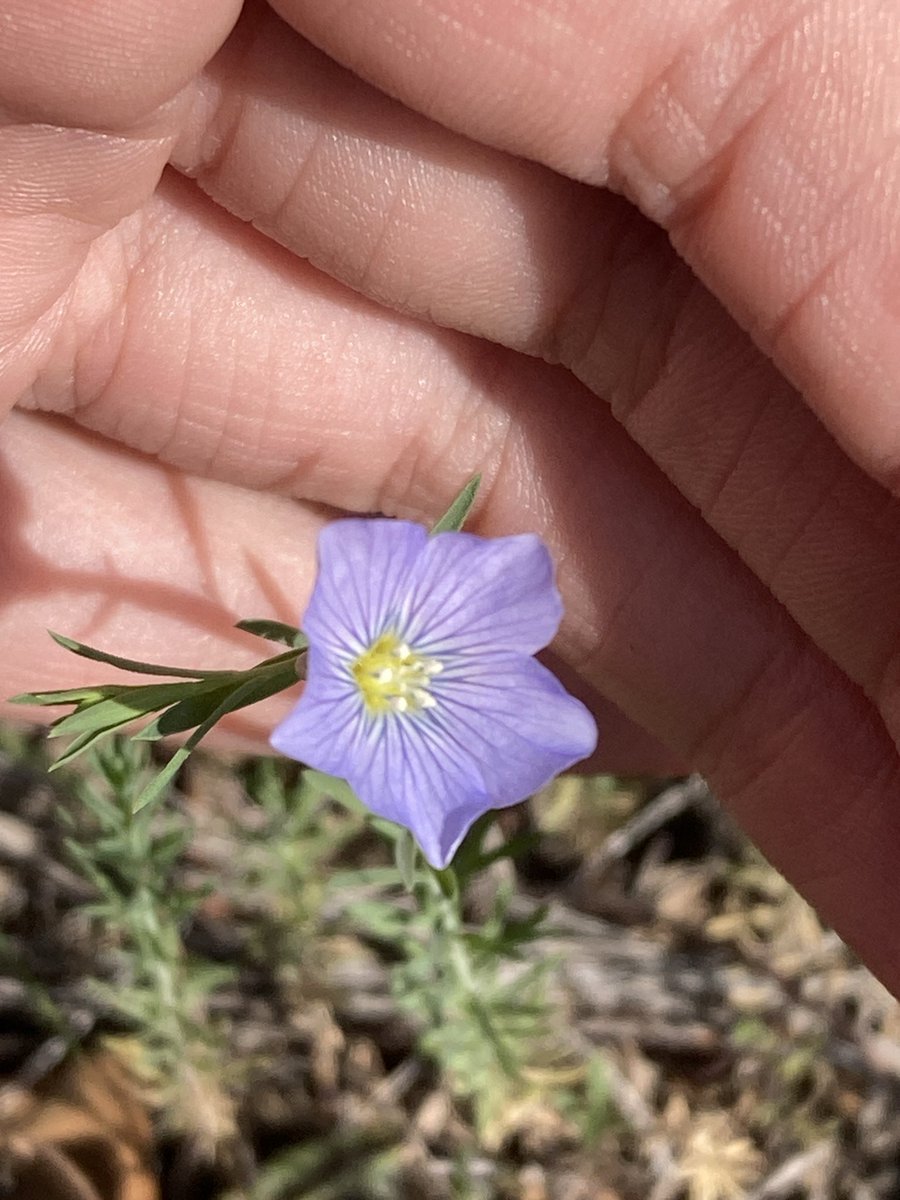 OldFoundWeatherNerd tweet media