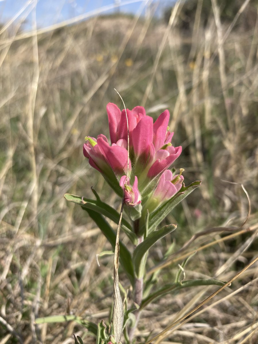 OldFoundWeatherNerd tweet media