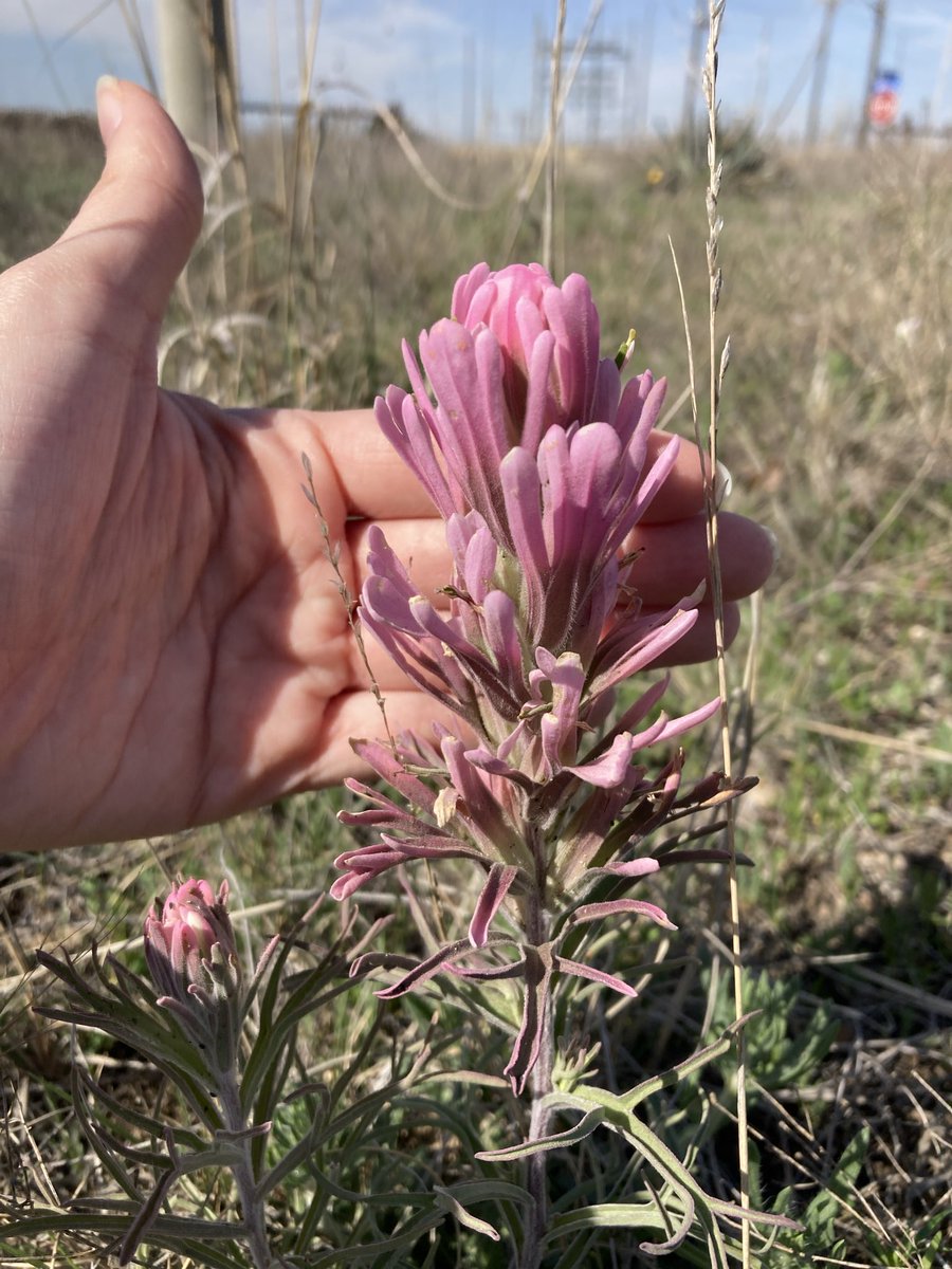 OldFoundWeatherNerd tweet media