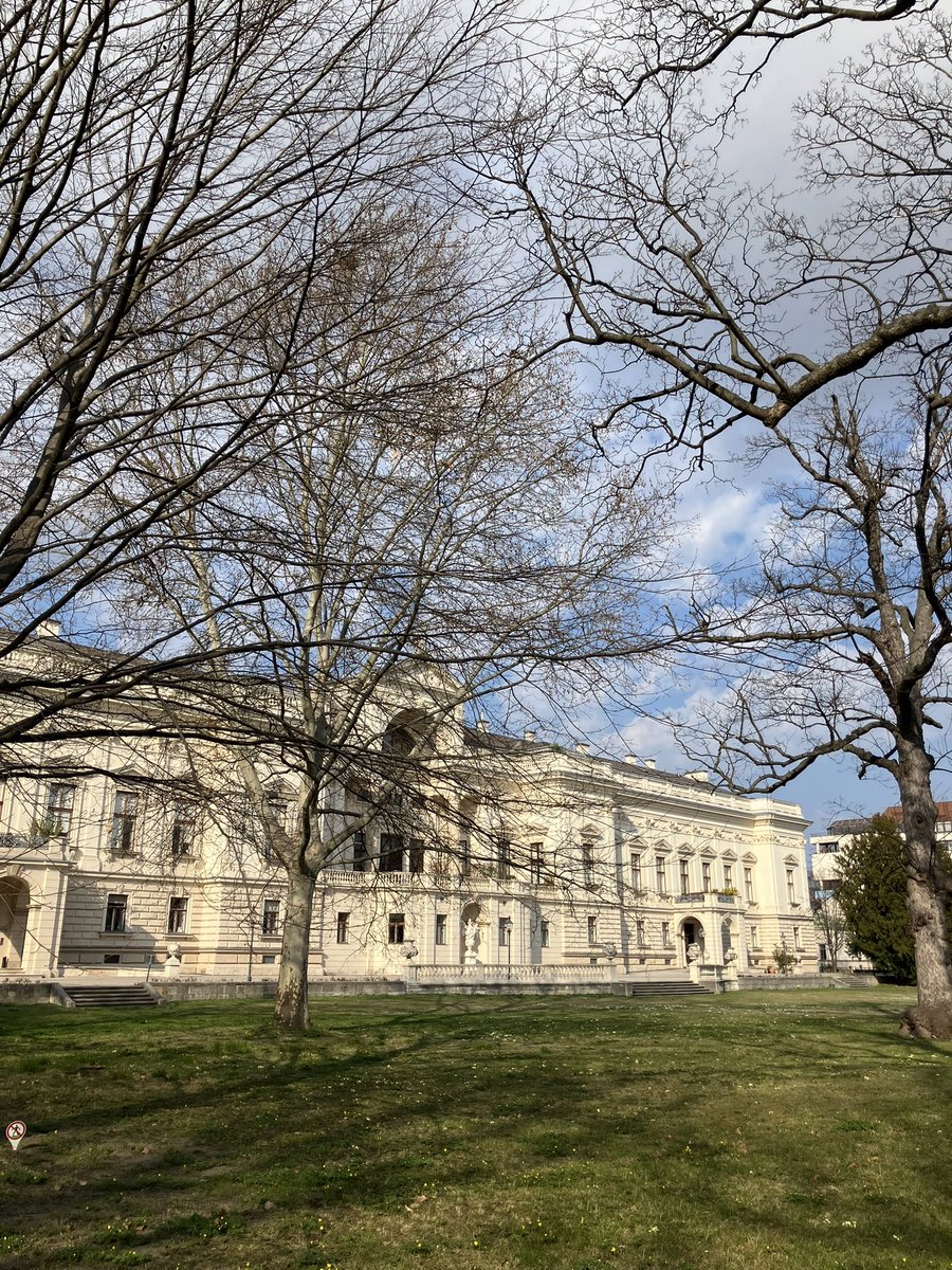 Viyana Anahtarı (Okşan Svastics) tweet media