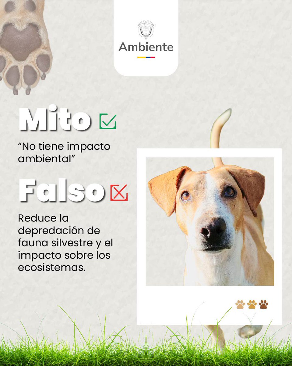 MinAmbiente Colombia tweet media