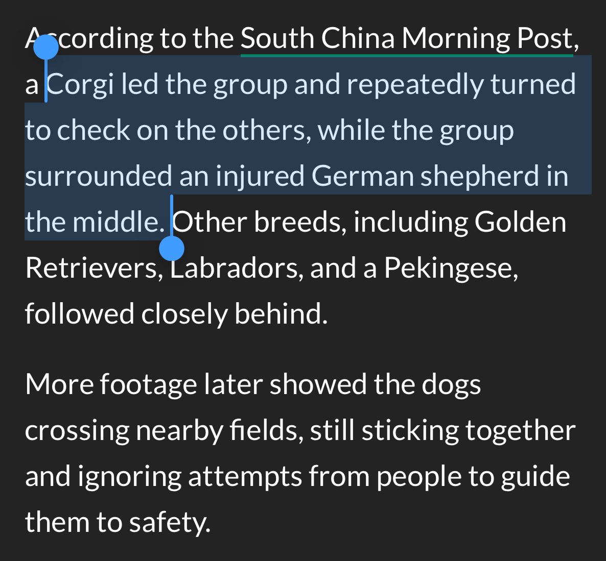 Heidi N. Moore tweet media