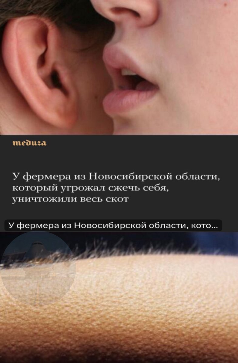 Вы поняли, да? tweet media