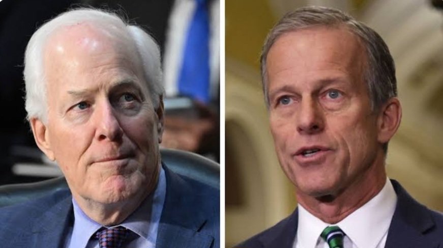 Florida Mike tweet media