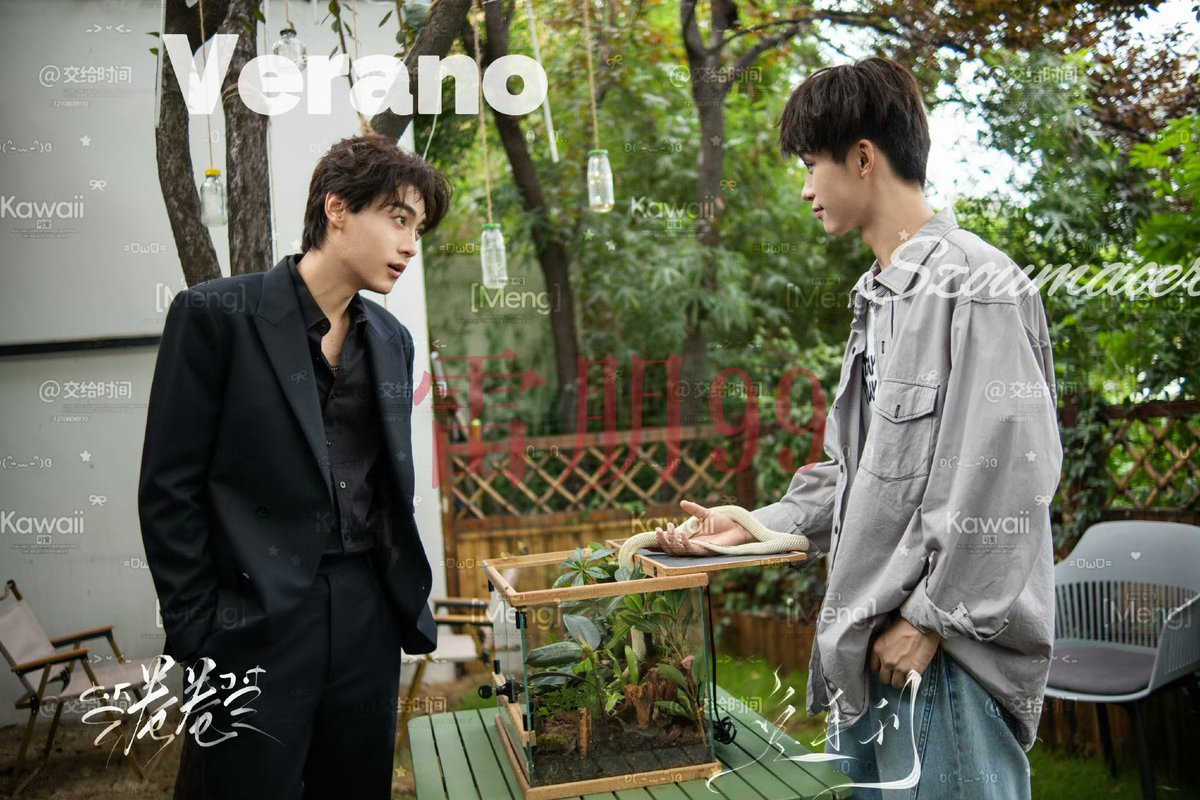 태평🪽 tweet media