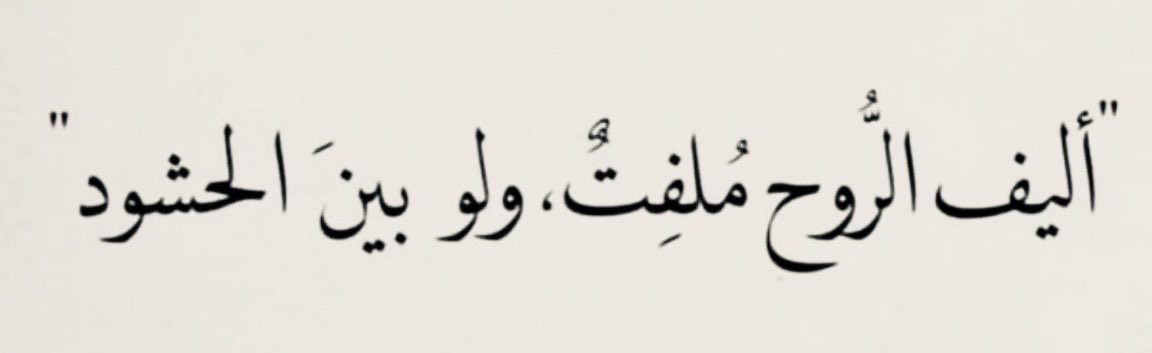 Abdullah. tweet media