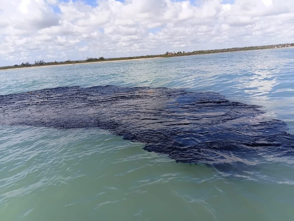 Guacamaya Leaks tweet media