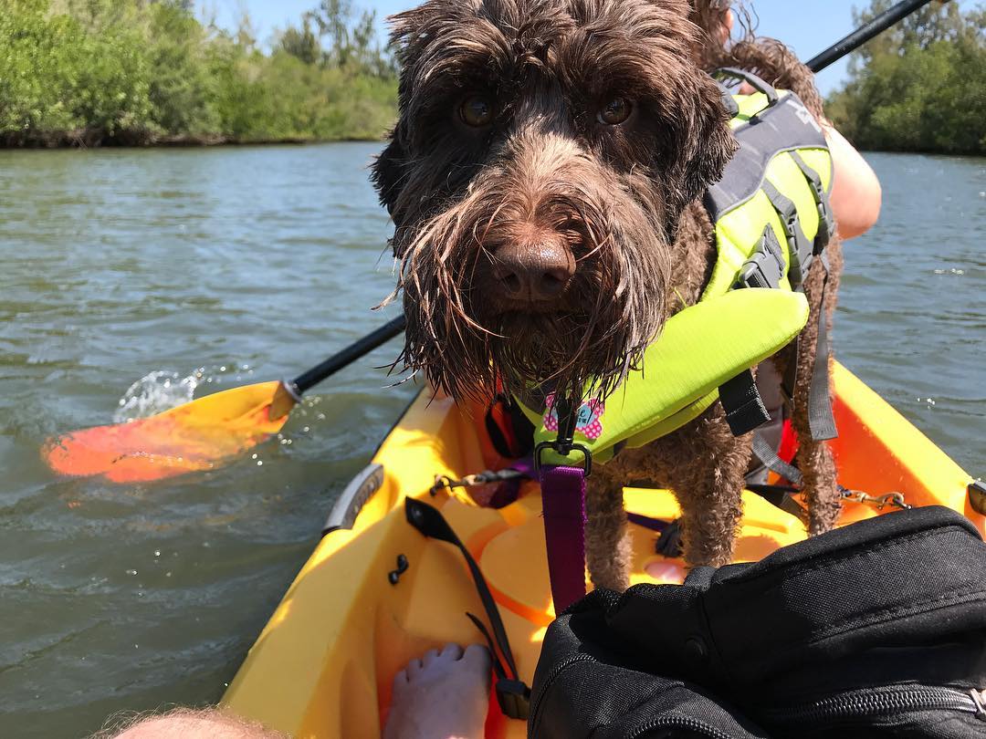 Visit Indian River tweet media