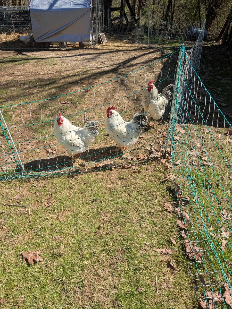 Wilson Dunham Farms tweet media