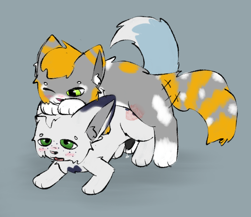 Cookid 🔞 tweet media