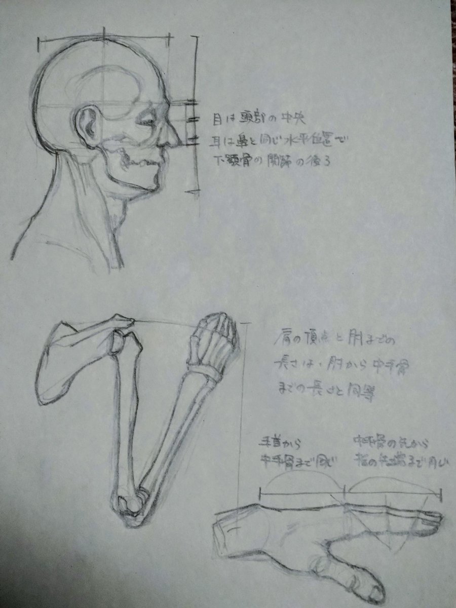 矢馳バジ@skeb休止中(4月再開予定) tweet media