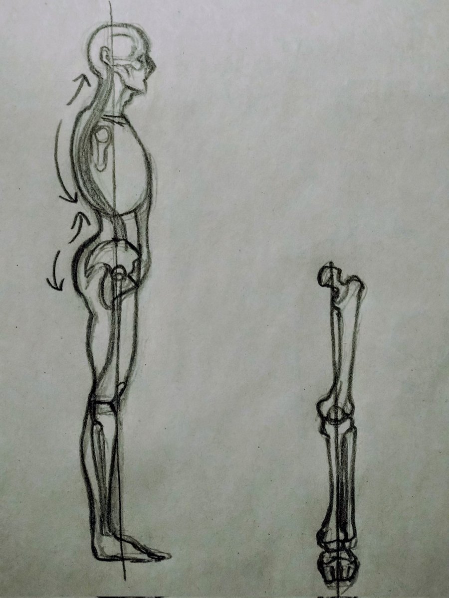 矢馳バジ@skeb休止中(4月再開予定) tweet media