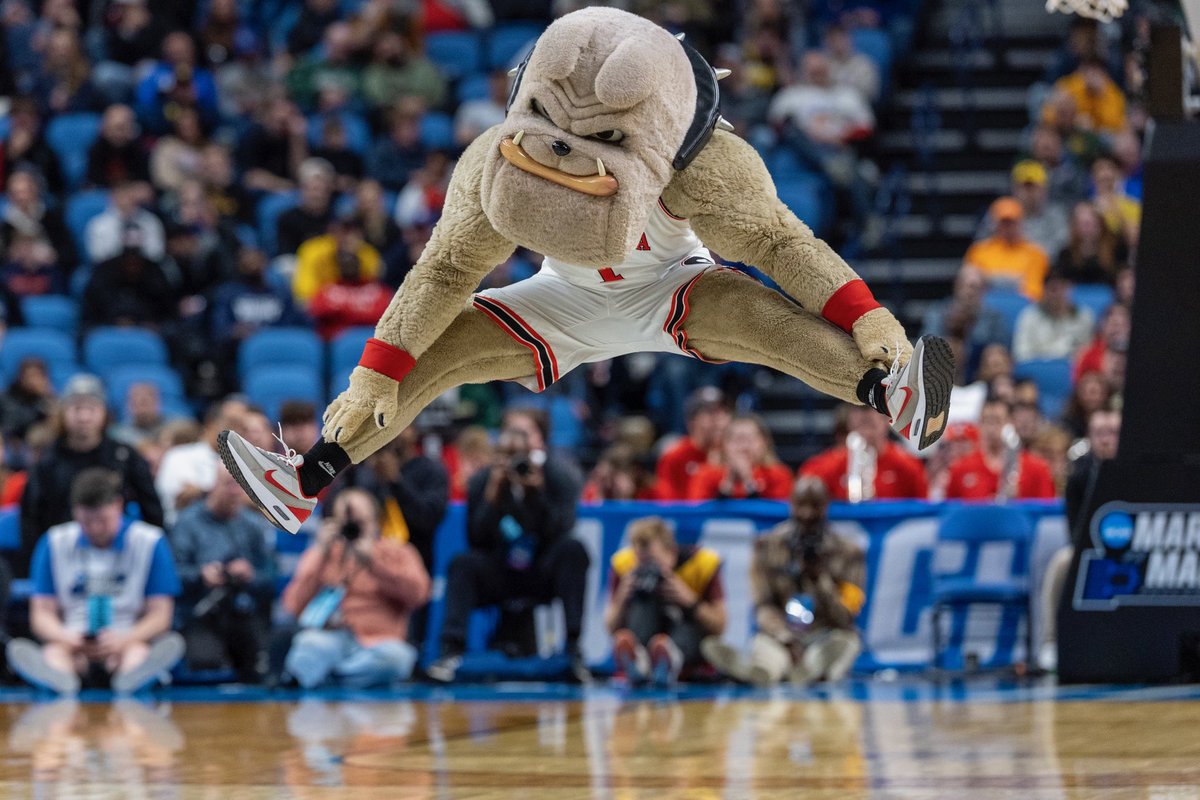 Canisius University Athletics tweet media