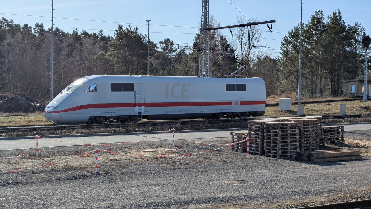 kotki najlepsze najsilniejsze tweet media