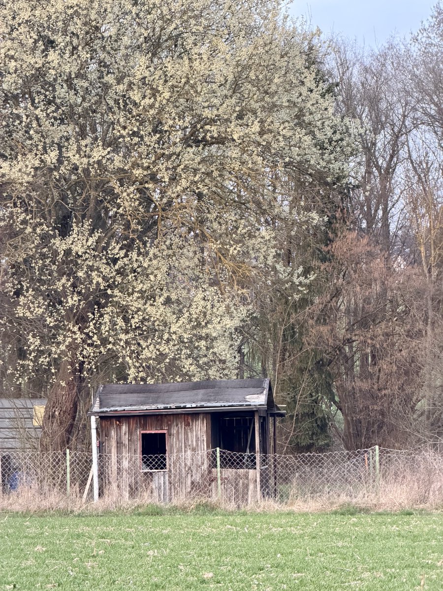 Markus Raum tweet media