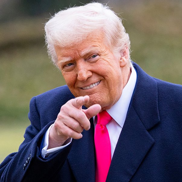 Whale Insider tweet media