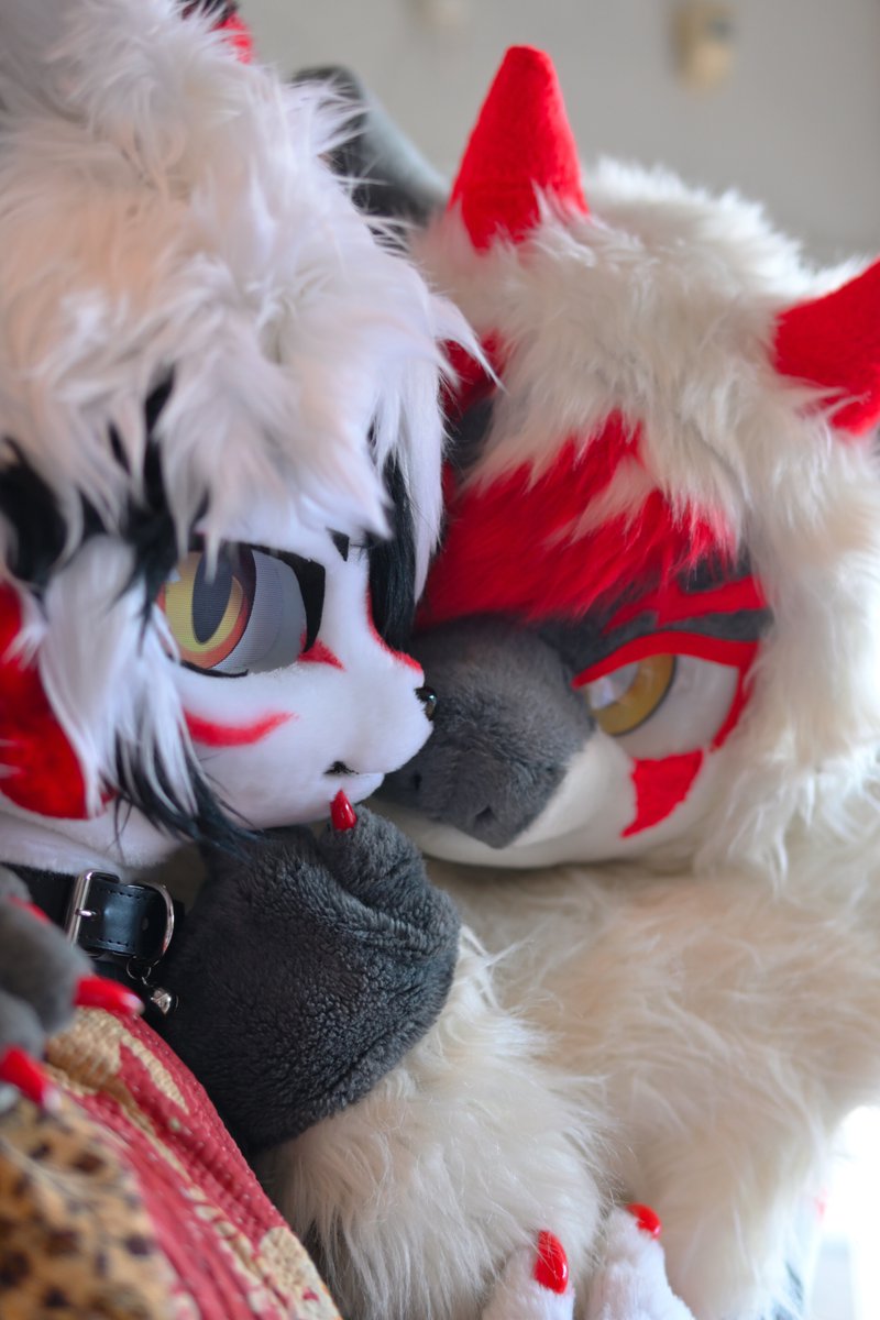 こっちを向いて...
#pH2