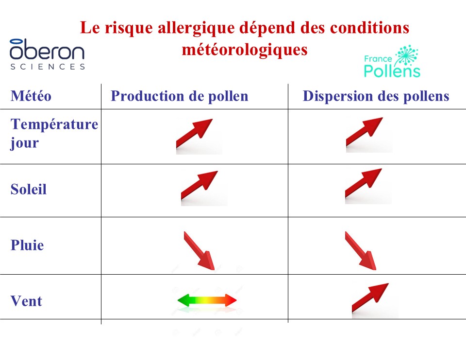 France Pollens tweet media