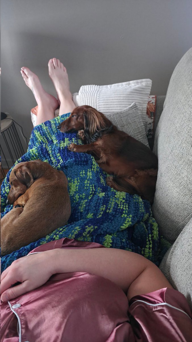 Derek Green tweet media