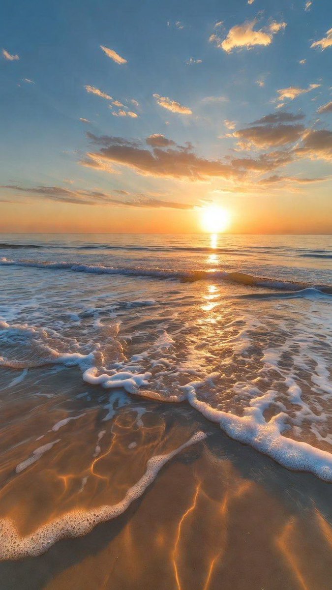 Lisa🌺 tweet media