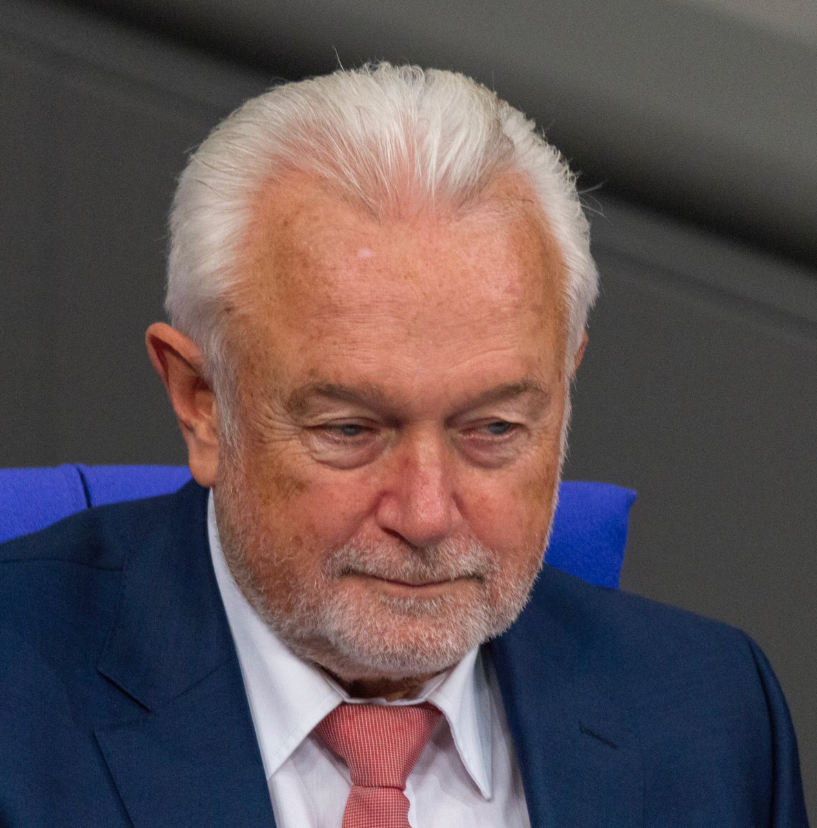 FalkTG 10k 🦅🇪🇺🇩🇪🇺🇦 tweet media