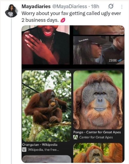 Many_More tweet media