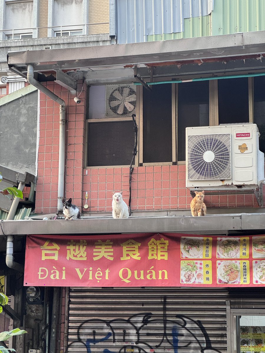 小緹🎀 tweet media